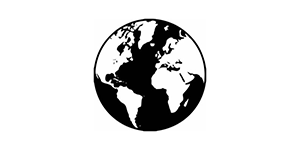 Globe icon